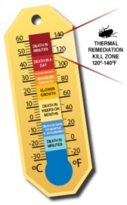 Thermal Treatment of Bed Bug Infestation