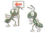 Ant Exterminator MN