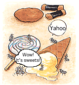 Ants are very fond of sweets!