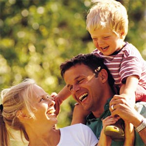 Affordable Insect Removal Near Me Minneapolis