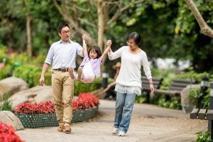 Common Pests in Minnesota and the Risks They Pose