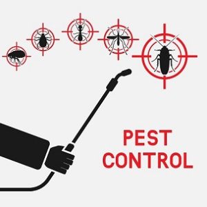 Eco-Friendly Integrated Pest Management