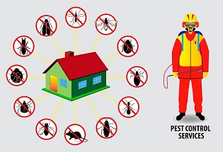 All Natural Pest Control Services MN