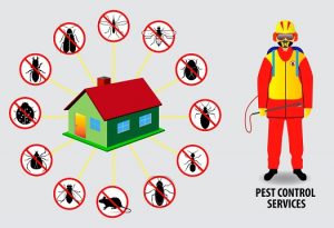 Summer And Fall Extermination Services