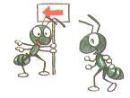 Ant Extermination Shoreview