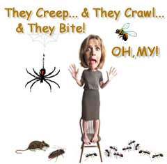 Year-Round Pest Control Services